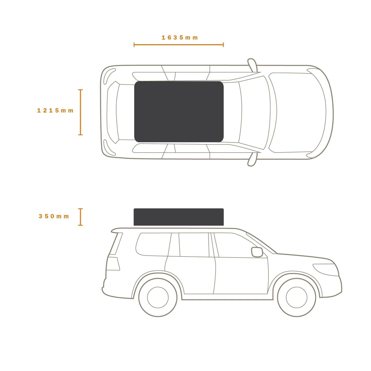 INTREPIDOR 2 - Image 16