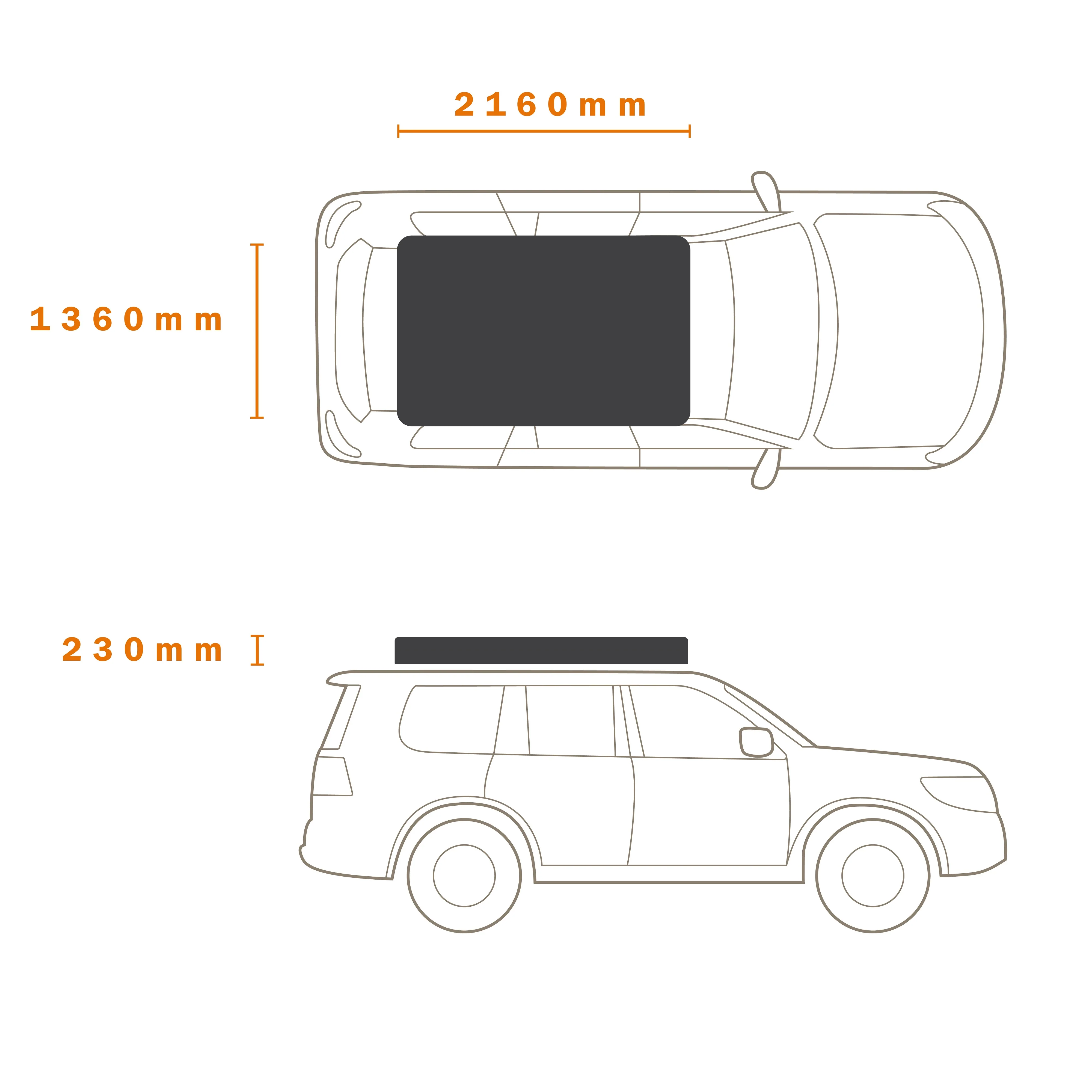 RIDGEBACK RTT - Image 20